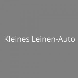 Kleines Leinen-Auto